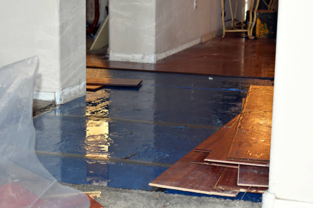 Professional Water Damage Restoration technician working in Wolcott, IN